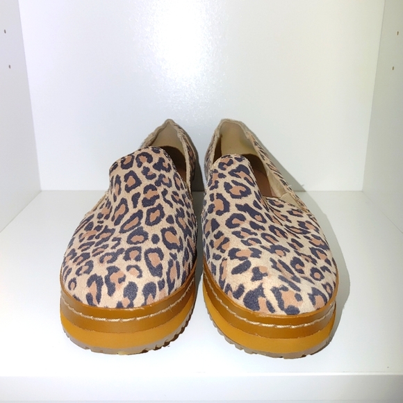 Toms Shoes - Toms Leopard Shoes Size 8.5